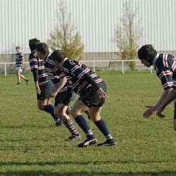 porc2008_113