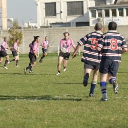 porc2008_114