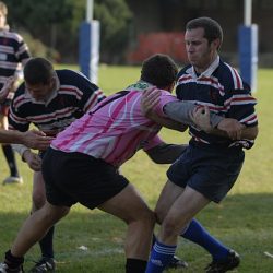 porc2008_115