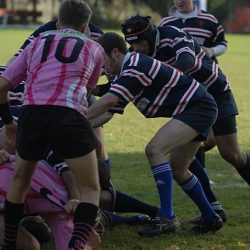 porc2008_116
