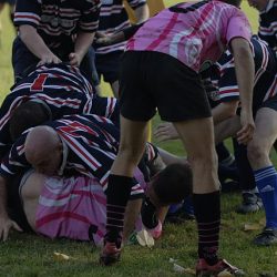 porc2008_117