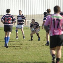 porc2008_118