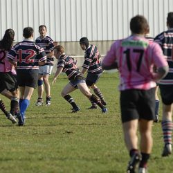 porc2008_119