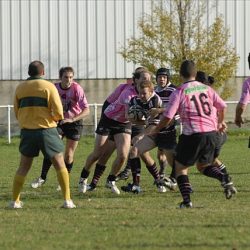 porc2008_120