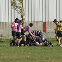 porc2008_121
