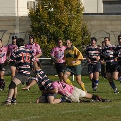 porc2008_122