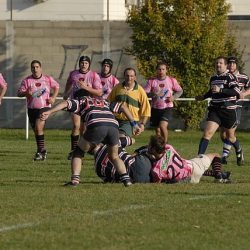 porc2008_123