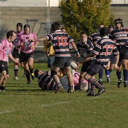 porc2008_124