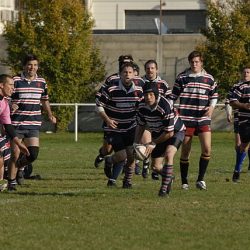 porc2008_126