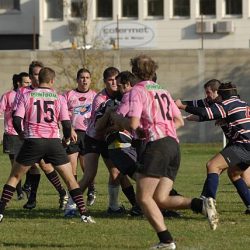 porc2008_128