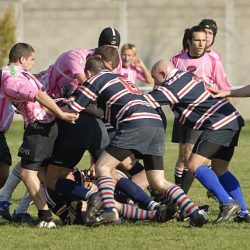 porc2008_129