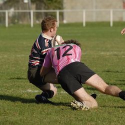 porc2008_134