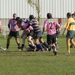 porc2008_136