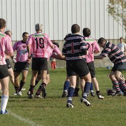 porc2008_137