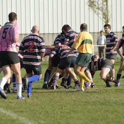 porc2008_138