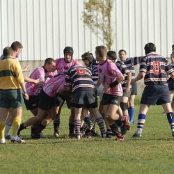 porc2008_139