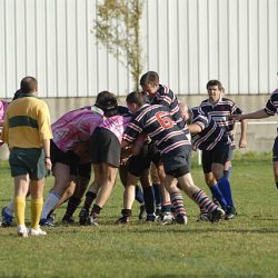 porc2008_140