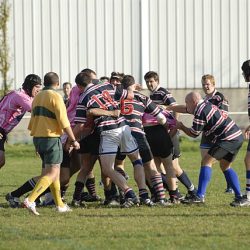 porc2008_141