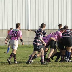 porc2008_142