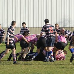 porc2008_143