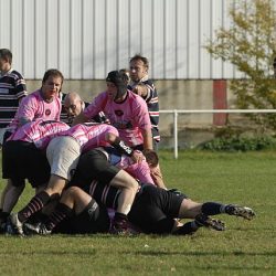 porc2008_144