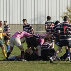 porc2008_145
