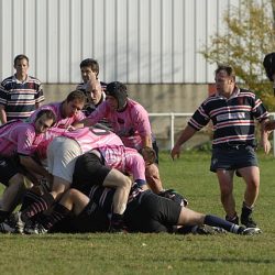 porc2008_147