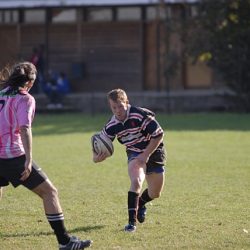 porc2008_149