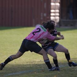 porc2008_150