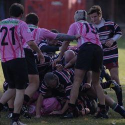 porc2008_151