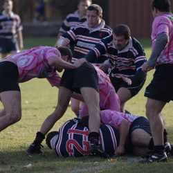 porc2008_152
