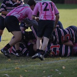 porc2008_154