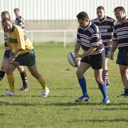 porc2008_158