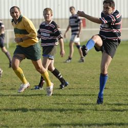 porc2008_159
