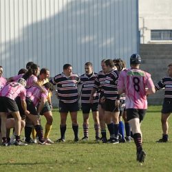 porc2008_160