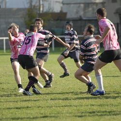 porc2008_161