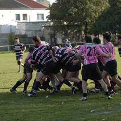 porc2008_163