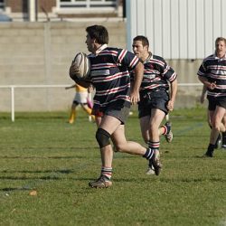 porc2008_165
