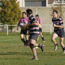 porc2008_166