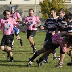 porc2008_167