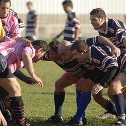 porc2008_169