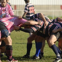 porc2008_170