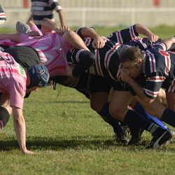 porc2008_172