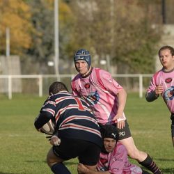 porc2008_173