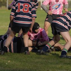 porc2008_175