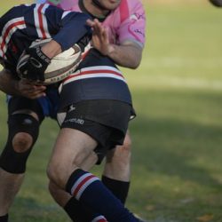 porc2008_177