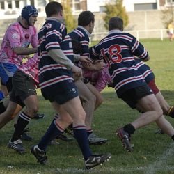 porc2008_183