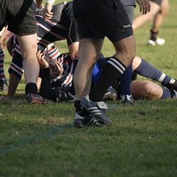 porc2008_188