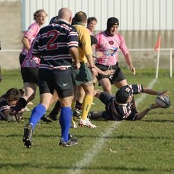 porc2008_189