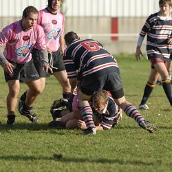 porc2008_191